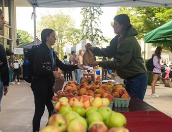 Farmers Market
