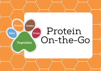 Protein On-the-Go